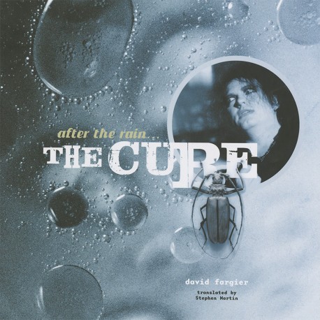 After The Rain... The Cure (book)